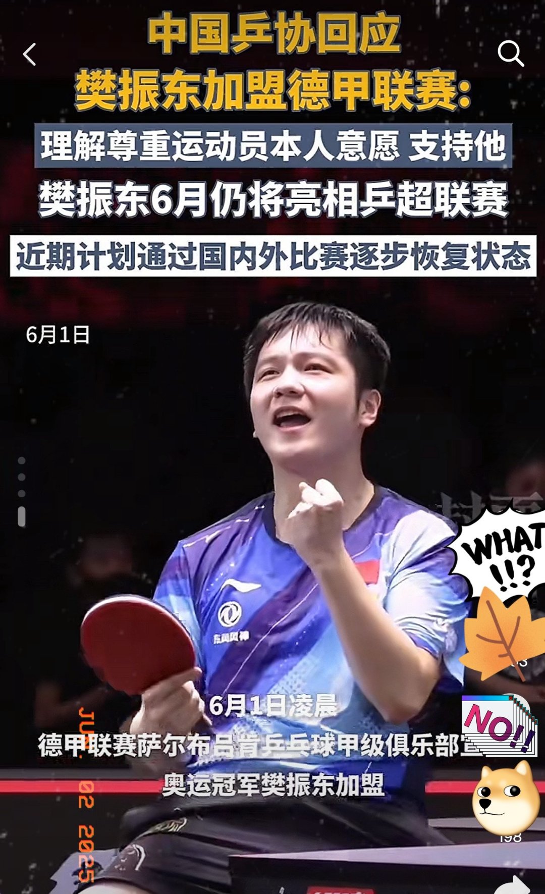 开云体育入口-法国乒乓球队绝杀德国乒乓球队,樊振东关键制胜的简单介绍