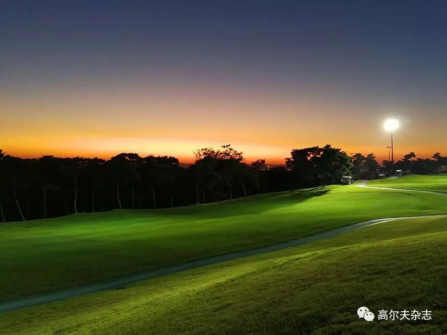 青海雪峰队逼平四川大禹队,平分秋色的简单介绍 青海雪峰队逼平四川大禹队,平分秋色的简单介绍