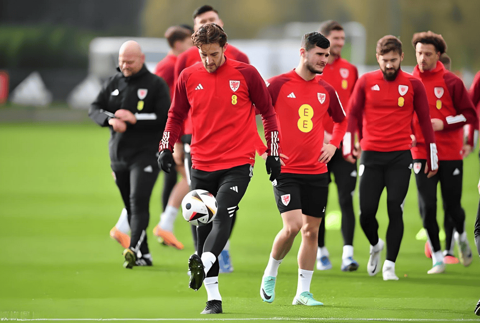 黑山队晋级欧洲杯预选赛阶段的简单介绍 黑山队晋级欧洲杯预选赛阶段的简单介绍