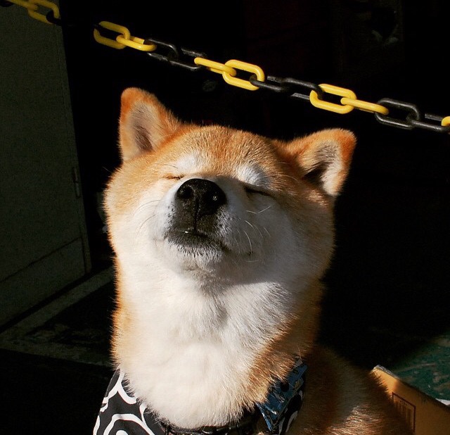 开云体育登录-德甲争冠战焦点战,马里连续得分压制阿森纳,改写争冠格局